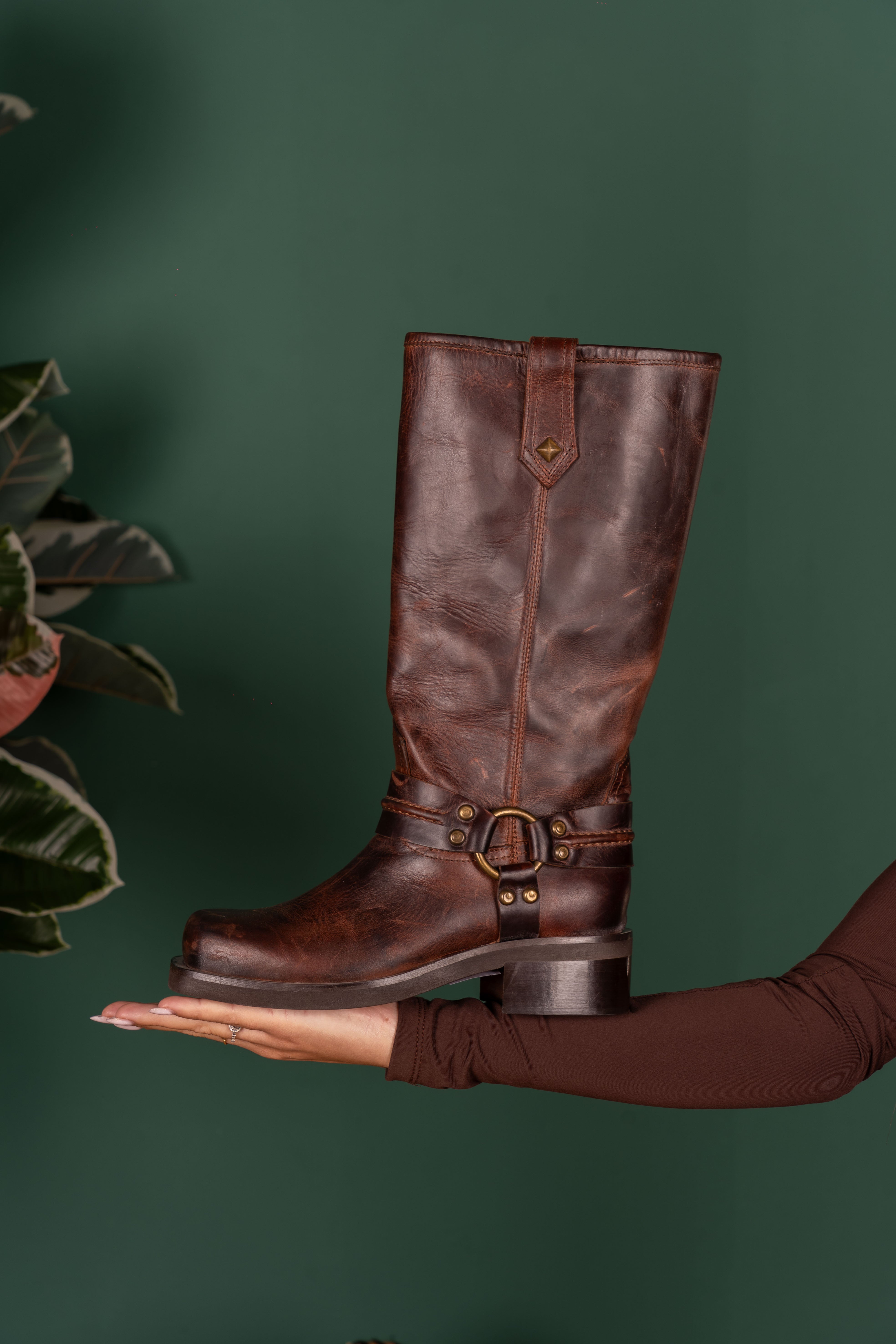 STIVALE ICON01 BUFALO WINE